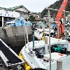 活魚厳選仕入